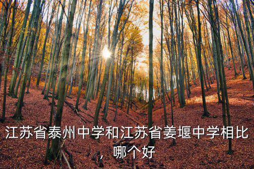 江蘇省泰州中學(xué)和江蘇省姜堰中學(xué)相比，哪個好