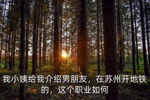 我小姨給我介紹男朋友，在蘇州開地鐵的，這個職業如何