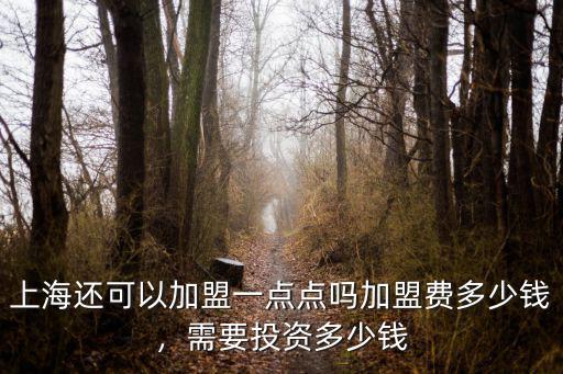 上海還可以加盟一點點嗎加盟費多少錢，需要投資多少錢