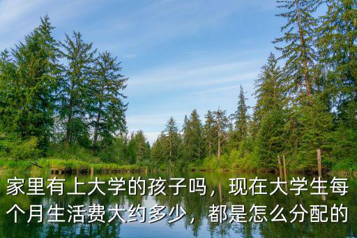 家里有上大學(xué)的孩子嗎，現(xiàn)在大學(xué)生每個(gè)月生活費(fèi)大約多少，都是怎么分配的