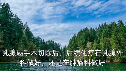 乳腺癌手術(shù)切除后，后續(xù)化療在乳腺外科做好，還是在腫瘤科做好