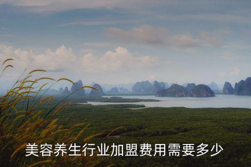 美容養(yǎng)生行業(yè)加盟費用需要多少