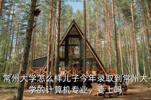 常州大學怎么樣兒子今年錄取到常州大學的計算機專業，要上嗎