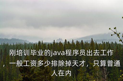 剛培訓(xùn)畢業(yè)的java程序員出去工作，一般工資多少排除掉天才，只算普通人在內(nèi)