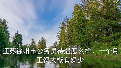 江蘇徐州市公務員待遇怎么樣，一個月工資大概有多少