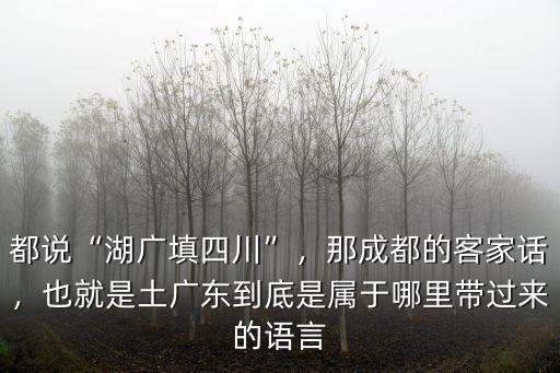 都說(shuō)“湖廣填四川”，那成都的客家話，也就是土廣東到底是屬于哪里帶過(guò)來(lái)的語(yǔ)言