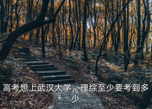 上武大江蘇各科要考多少分,一般需要多少分