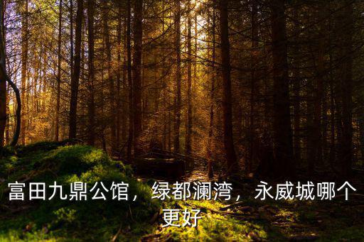 富田九鼎公館，綠都瀾灣，永威城哪個更好