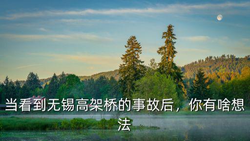 當(dāng)看到無(wú)錫高架橋的事故后，你有啥想法