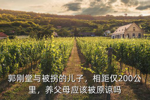 郭剛堂兒子河南哪里,郭剛堂與被拐的兒子