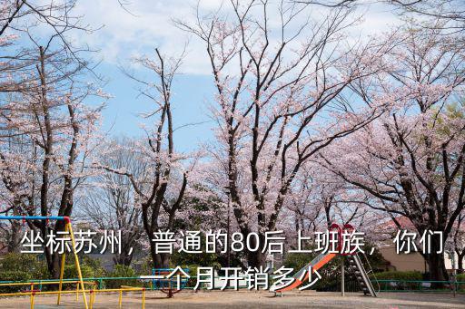 蘇州上班族正常一個月消費(fèi)多少,你們一個月開銷多少
