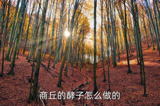 河南用甜瓜做的老面肥怎么制作,老面肥怎么做