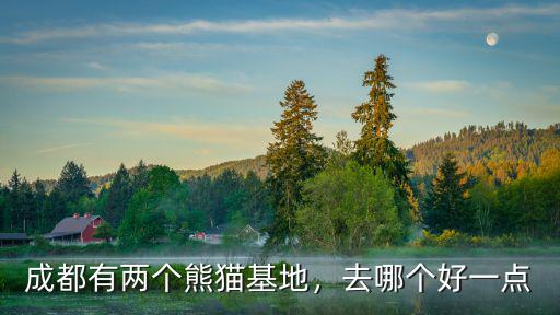 成都熊貓街在哪里,成都的大熊貓基地在哪里