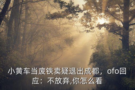 小黃車當廢鐵賣疑退出成都，ofo回應：不放棄,你怎么看