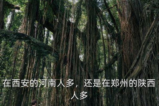 河南人在陜西人口多少,在西安的河南人多