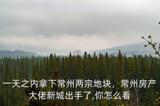 新城在常州開發了多少項目,常州房產大佬新城出手了