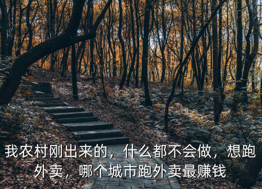 我農(nóng)村剛出來的，什么都不會做，想跑外賣，哪個城市跑外賣最賺錢