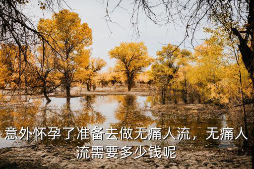 在三門峽無痛人流要多少錢,無痛人流需要多少錢呢