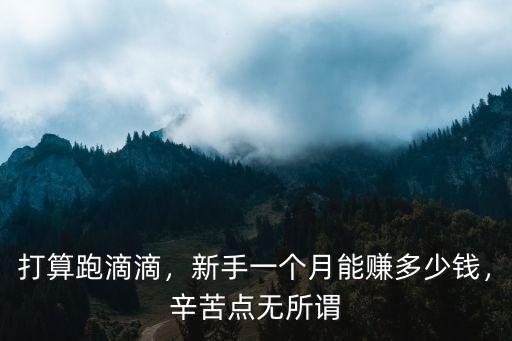 蘇州滴滴到杭州多少錢一個月多少錢一個月,一個月能掙多少錢