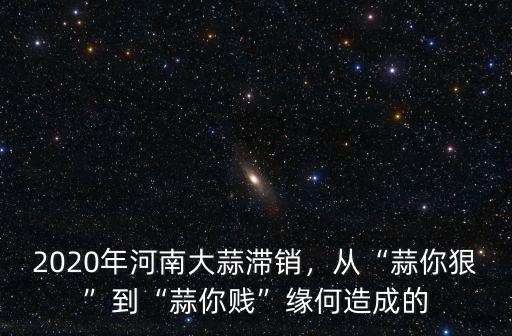 2020年河南大蒜滯銷，從“蒜你狠”到“蒜你賤”緣何造成的