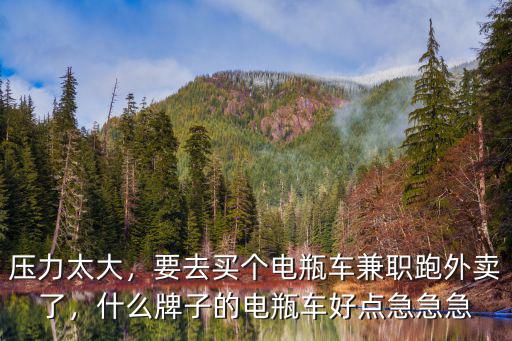 鄭州買個電瓶車跑外賣多少錢,鄭州跑外賣怎么樣