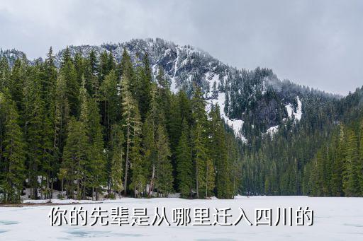 四川瀘縣歐姓由哪里遷入,四川人是從哪里遷移到四川的