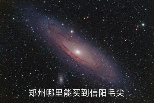鄭州哪里能買到信陽毛尖