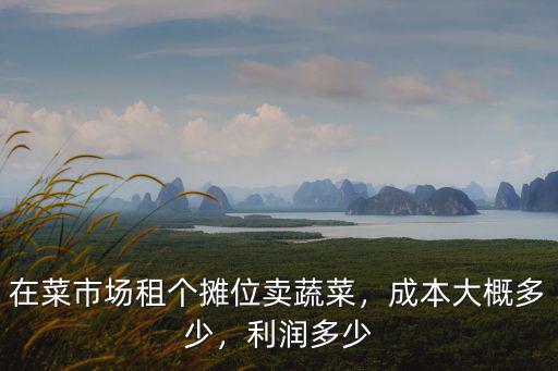 南通劉橋菜市場附近房租大概多少,成本大概多少