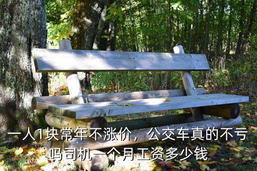 一人1塊常年不漲價，公交車真的不虧嗎司機一個月工資多少錢