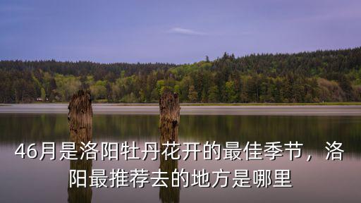 46月是洛陽牡丹花開的最佳季節(jié)，洛陽最推薦去的地方是哪里