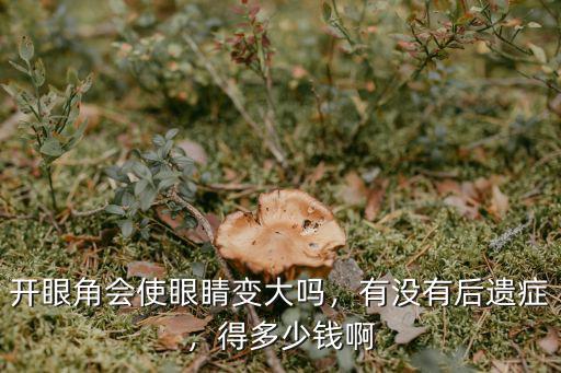 開眼角會使眼睛變大嗎，有沒有后遺癥，得多少錢啊