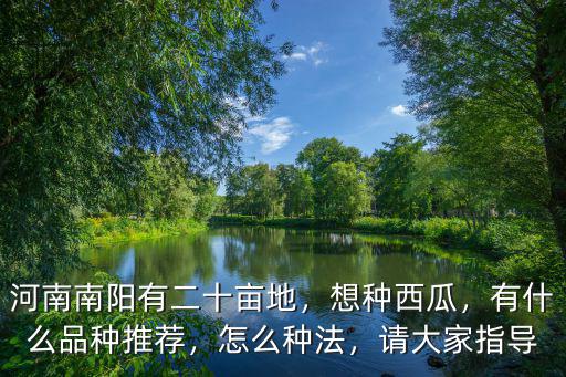 河南南陽有二十畝地，想種西瓜，有什么品種推薦，怎么種法，請大家指導