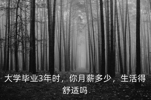 大學畢業3年時，你月薪多少，生活得舒適嗎