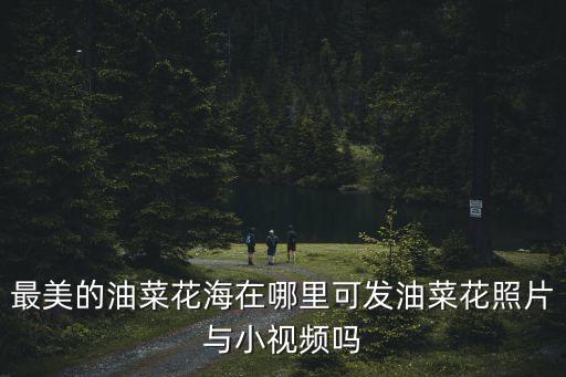 最美的油菜花海在哪里可發(fā)油菜花照片與小視頻嗎