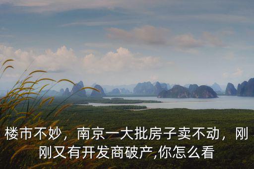 南京房地產有多少開發商,南京本地房地產公司有多少個