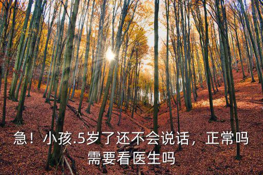 急！小孩.5歲了還不會說話，正常嗎需要看醫生嗎