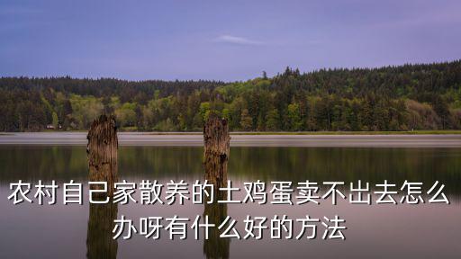 農村自己家散養的土雞蛋賣不岀去怎么辦呀有什么好的方法
