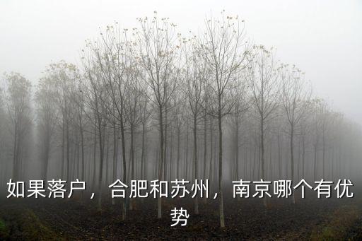 如果落戶，合肥和蘇州，南京哪個有優勢