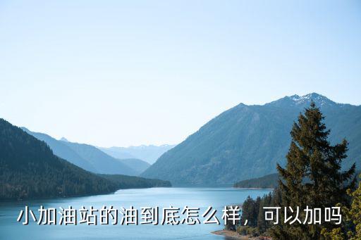 河南淮濱縣加油站的油怎么樣,小加油站的油到底怎么樣