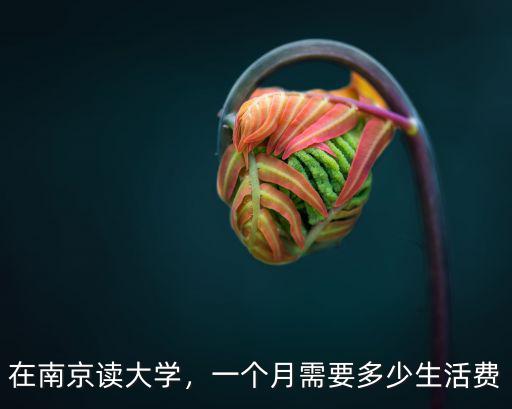 在南京讀大學，一個月需要多少生活費