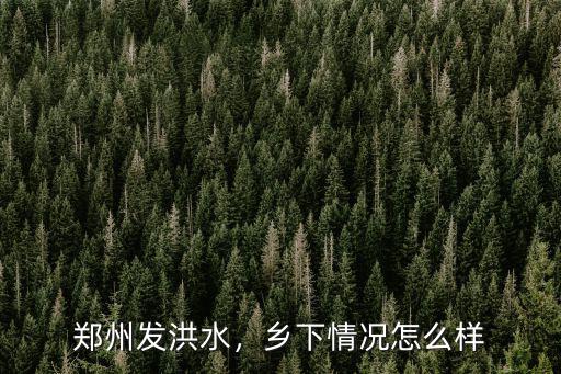 鄭州信號怎么了,透漏了什么信號