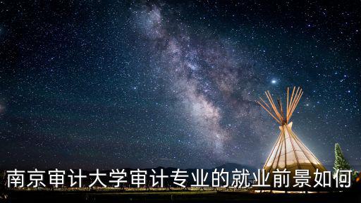 南京審計大學一共有多少學生,這所大學有哪些比較好的專業