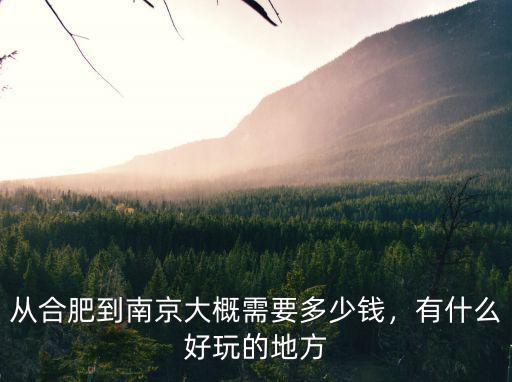 明天合肥到南京的高鐵票多少錢,有什么好玩的地方