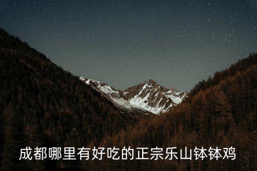 樂山鹵汁豆腐腦哪里好吃,樂山是九九豆腐腦好吃