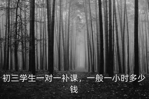 初三學生一對一補課，一般一小時多少錢