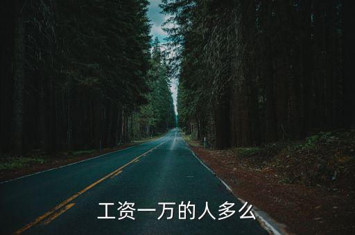 南京工資1萬的月工資是多少,工資一萬的人多么