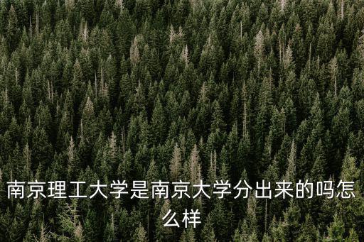 南京理工大學是南京大學分出來的嗎怎么樣
