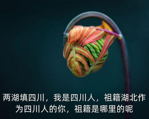 兩湖填四川，我是四川人，祖籍湖北作為四川人的你，祖籍是哪里的呢