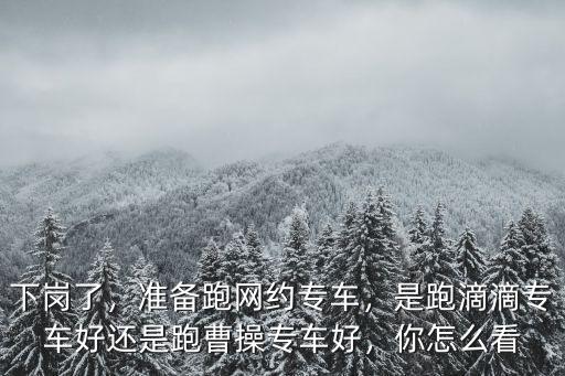 下崗了，準(zhǔn)備跑網(wǎng)約專車，是跑滴滴專車好還是跑曹操專車好，你怎么看