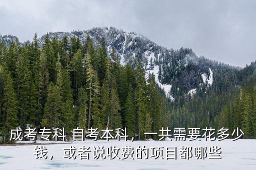 徐州成考大專(zhuān)需要花多少錢(qián),一共需要花多少錢(qián)